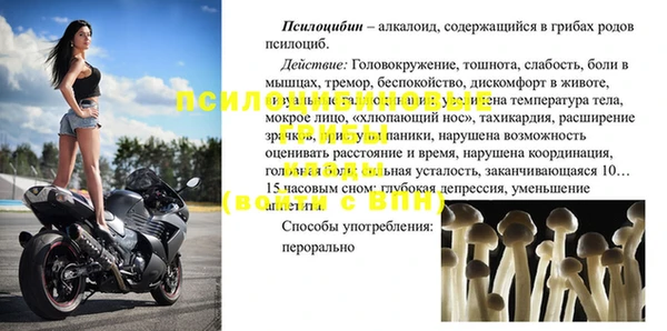 индика Белоозёрский